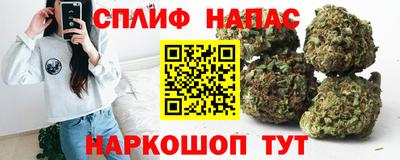 СК Краснознаменск