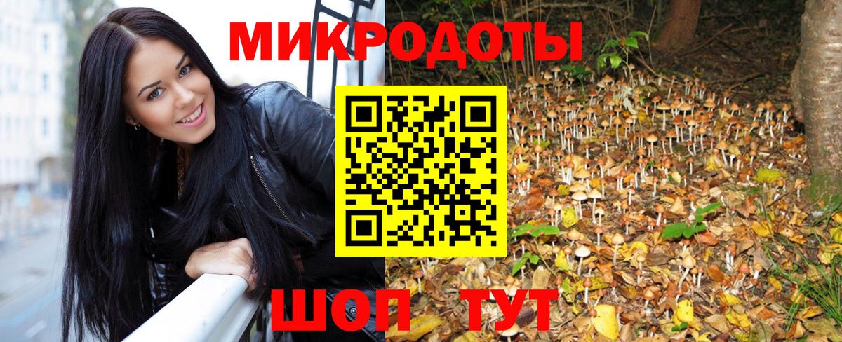 Галлюциногенные грибы Cubensis Углич
