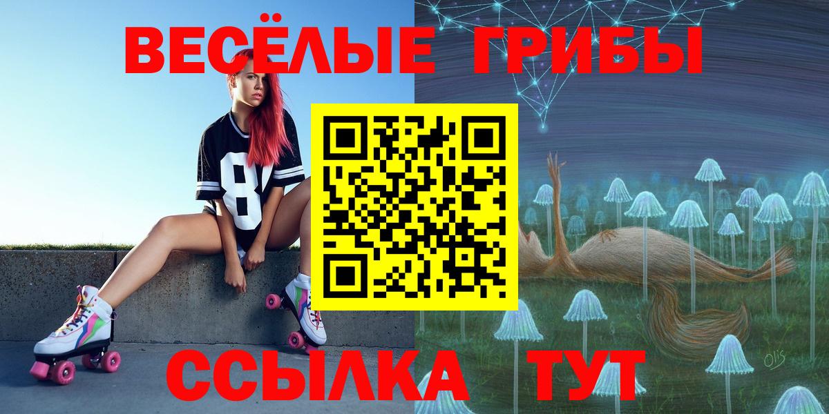 Углич  Псилоцибиновые грибы Psilocybe  Вход с VPN 